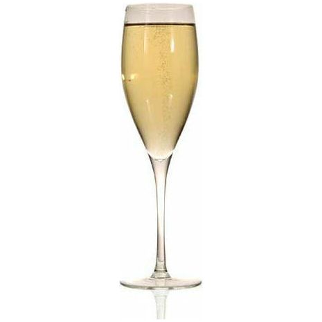 Ravenscroft Classics Champagne Flute (Set of 4)-Barware-Wine Whiskey and Smoke